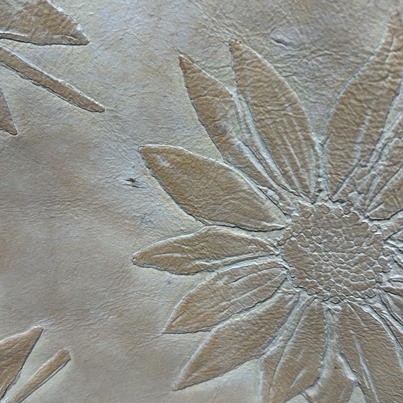 ‼️FALOR bag‼️ - Picture 3 of 13